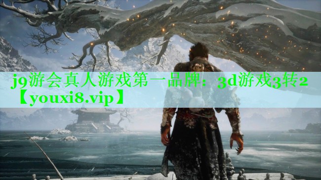 j9游会真人游戏第一品牌：3d游戏3转2