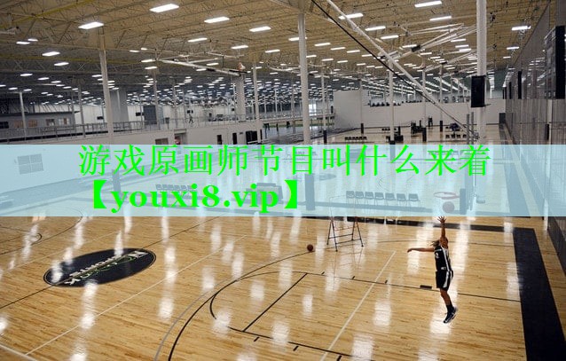 游戏原画师节目叫什么来着