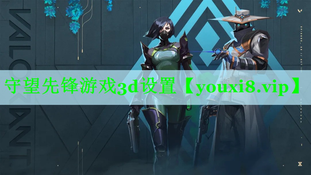 守望先锋游戏3d设置