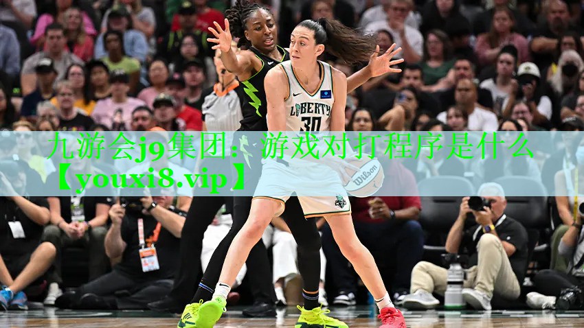 九游会j9集团：游戏对打程序是什么