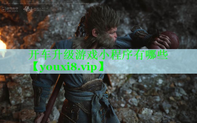 开车升级游戏小程序有哪些
