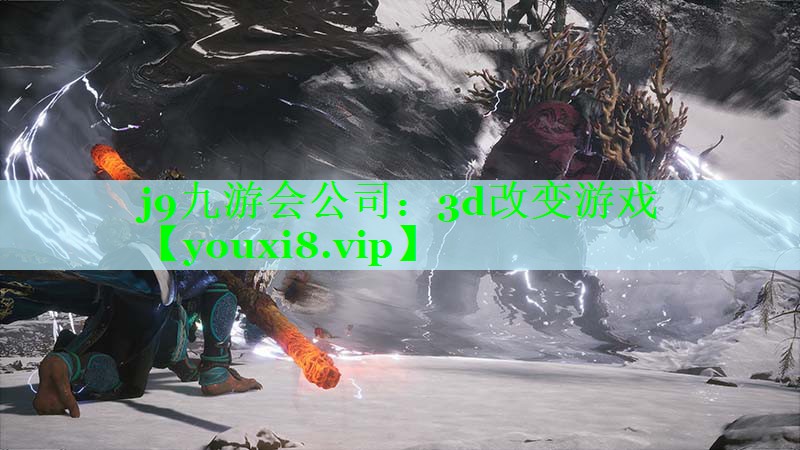 j9九游会公司：3d改变游戏