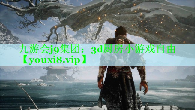 九游会j9集团：3d厨房小游戏自由