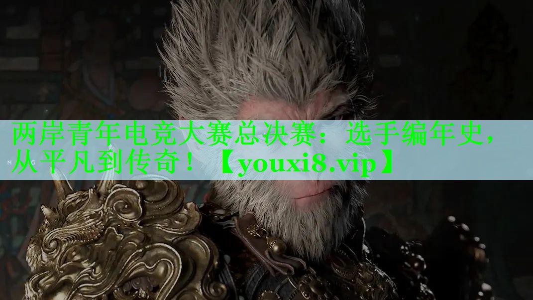 两岸青年电竞大赛总决赛：选手编年史，从平凡到传奇！