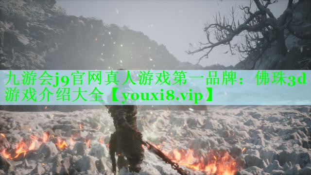 九游会j9官网真人游戏第一品牌：佛珠3d游戏介绍大全