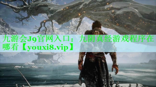 九阴真经游戏程序在哪看