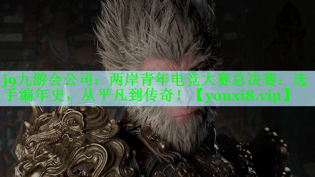 两岸青年电竞大赛总决赛：选手编年史，从平凡到传奇！