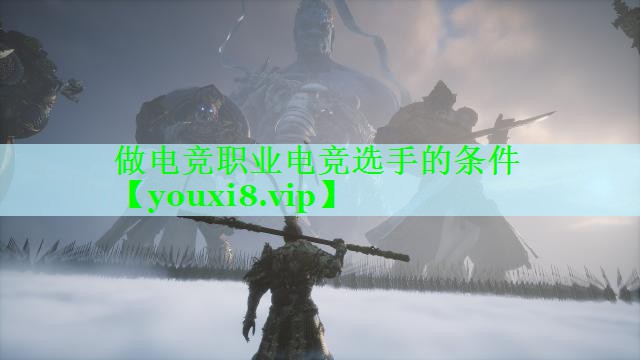 做电竞职业电竞选手的条件