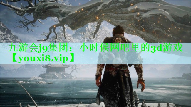 小时候网吧里的3d游戏