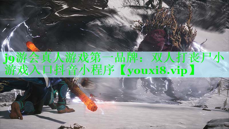 双人打丧尸小游戏入口抖音小程序