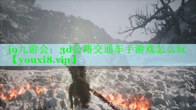 3d公路交通车手游戏怎么玩