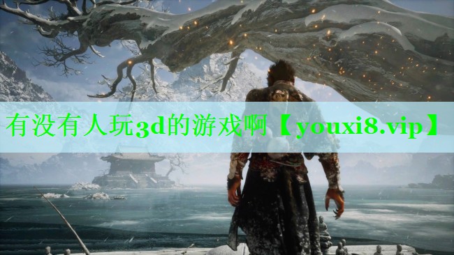 有没有人玩3d的游戏啊