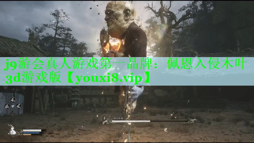 j9游会真人游戏第一品牌：佩恩入侵木叶3d游戏版