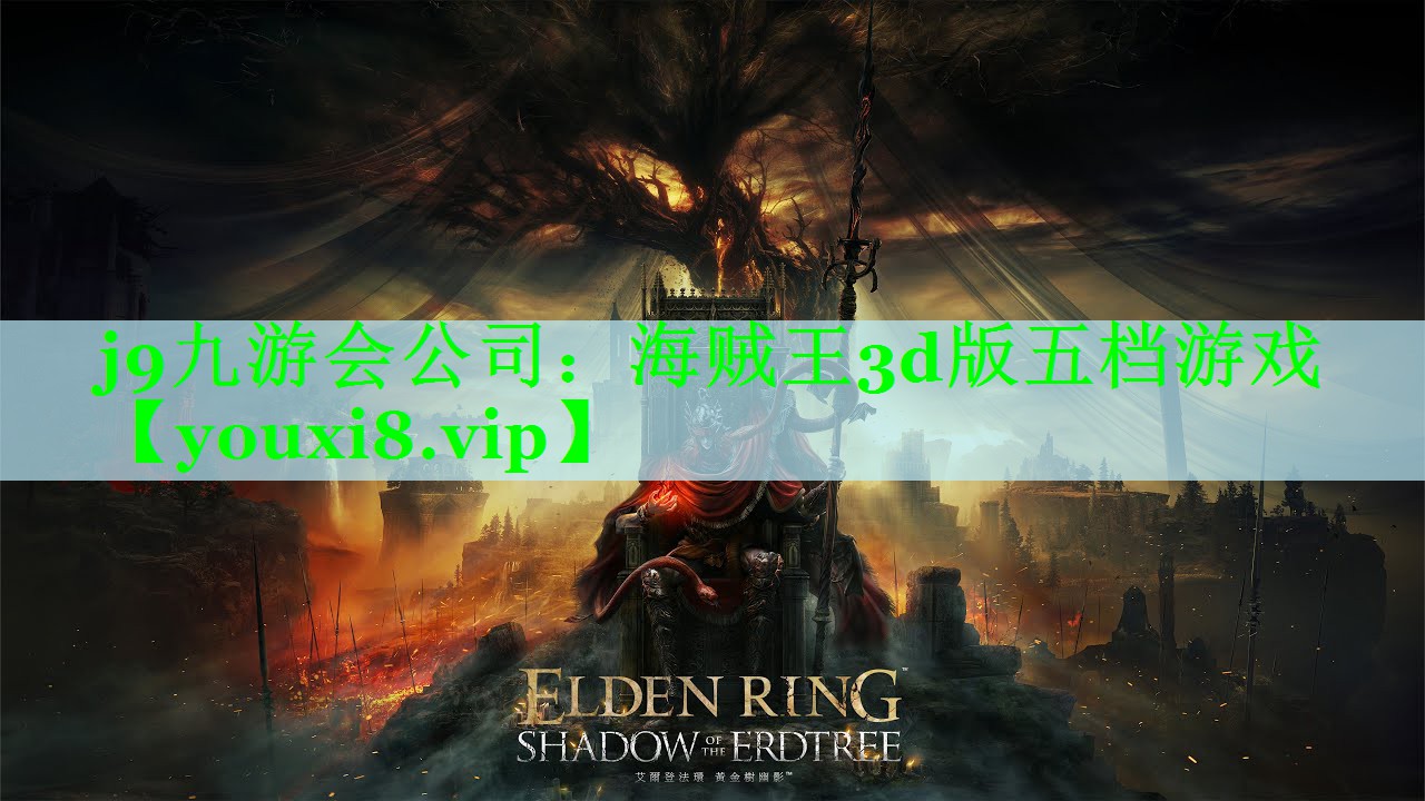 海贼王3d版五档游戏
