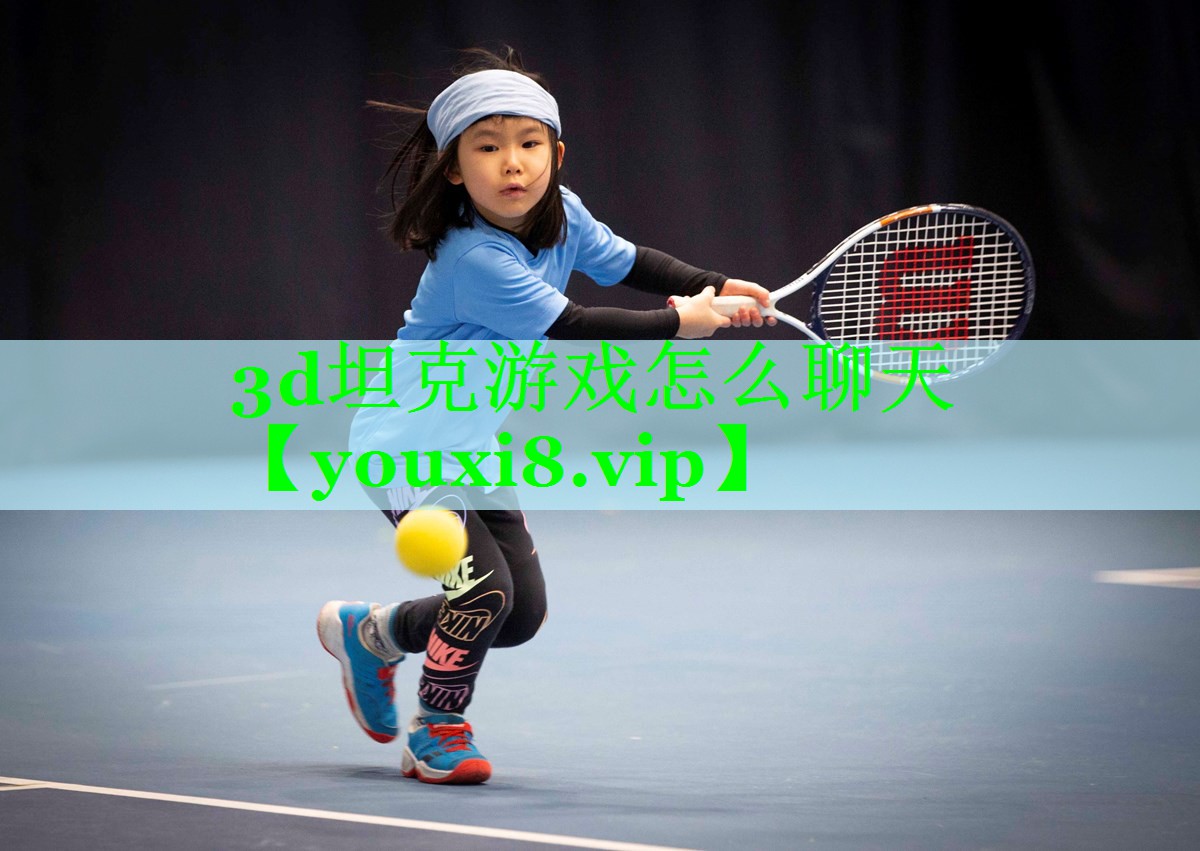 3d坦克游戏怎么聊天