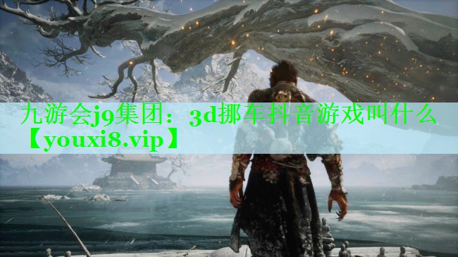 3d挪车抖音游戏叫什么