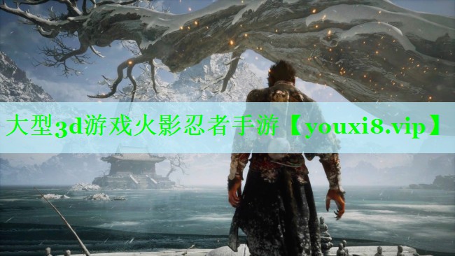 大型3d游戏火影忍者手游
