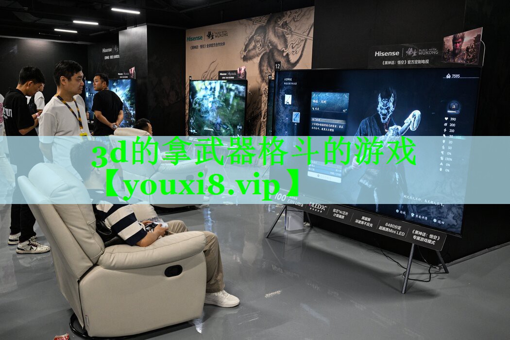 3d的拿武器格斗的游戏