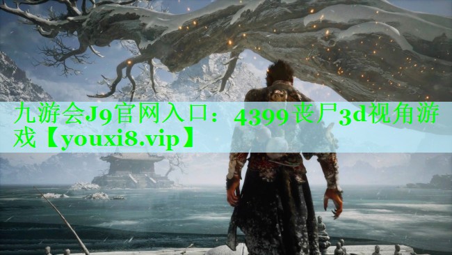 4399丧尸3d视角游戏