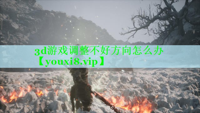 3d游戏调整不好方向怎么办