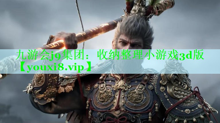 收纳整理小游戏3d版